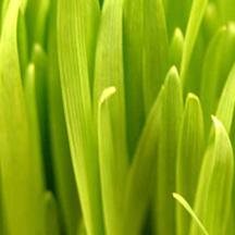 怎么去攻击一个网站与防护